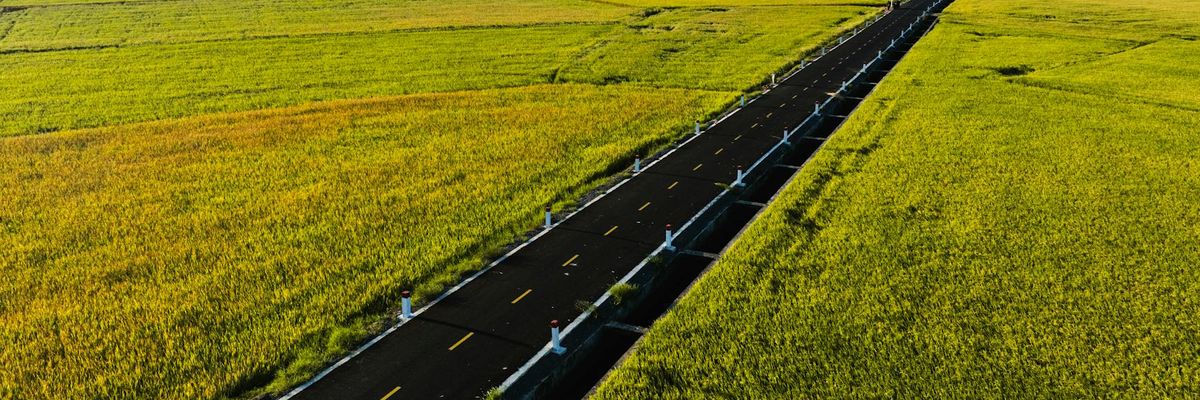 Wide abstract view of a path towards success